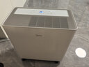 美的（Midea）54升小方物除湿机100㎡家用梅雨天抽湿机干衣机 地下室泵压上排水除湿器CF54BS/DA (支持鸿蒙智联) 实拍图