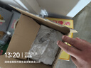 小熊（Bear）养生壶 2L大容量煮茶壶煮茶器 恒温保温一体煮水壶烧水壶 316L母婴材质 YSH-D20T6 实拍图