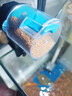 坤宁王自动喂鱼器鱼缸自动喂食器小型鱼金鱼自动投食器定时喂鱼器 实拍图