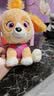 汪汪队立大功（PAW PATROL）毛绒玩具狗狗玩偶经典款天天小号坐姿公仔男女孩儿童生日礼物 实拍图
