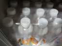 依能苏打水饮料 青柠檬味500ml*24瓶+锌强化500ml*24瓶 无糖弱碱 实拍图