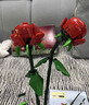 乐高（LEGO）积木40460 玫瑰永生花男女孩儿童玩具生日礼物家居装饰摆件 实拍图