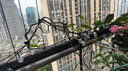 颖朗太阳能灯串暖光串灯户外景观装饰灯防水花园庭院阳台露营氛围灯 实拍图