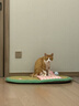 佩玛思特猫粮 深海鱼鸡肉系列 成猫幼猫低敏猫主粮 佩玛斯特 幼猫粮/怀孕母猫粮10kg 实拍图