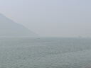 美丽雅魔术刮水扫把刮地板刮水器卫生间拖地面两用浴室硅胶扫水 实拍图