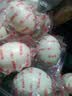 NORTHERN EGGS北极蛋 白洋淀咸鸭蛋60g*20枚早餐即食饱满流油 实拍图