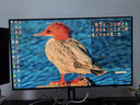 AOC 爱攻7 31.5英寸WOLED 4K 240Hz双模480Hz 10Bit DP2.1 0.03ms 16W音箱 游戏电竞显示器AGP327UZD 实拍图