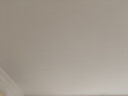 立邦墙面卫士全能抗碱防霉强附着力内墙乳胶漆5L【底漆】 实拍图