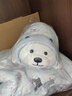 名创优品（MINISO）白熊趴姿公仔毛绒玩具抱枕靠垫卧室办公室午睡枕生日礼物 升级版 实拍图