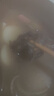 喜得佳白千层250g*2袋固形物60% 火锅麻辣烫冒菜牛毛肚牛百叶生鲜速食材 实拍图