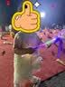 戴维贝拉（DAVE＆BELLA）童装夏装儿童连衣裙中大童女童裙子国风汉服长裙 实拍图