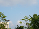 松下（Panasonic）Lumix G100D M43画幅相机 M43卡口 微单相机 无反数码相机 G100D单机+【25mmF1.7】单镜头定焦 实拍图