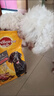 宝路狗粮老年犬狗粮 牛肉味1.8kg全犬种通用老年犬狗粮全价粮  实拍图