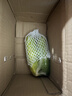 京鲜生 山东荷兰水果黄瓜 净4.5斤 单果70g+ 减脂必备源头直发 实拍图