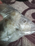安井锁鲜装香菇贡丸 150g/包 火锅麻辣烫丸子丸料 空气炸锅食材 实拍图