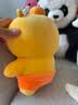 熊猫熊正版水豚噜噜玩偶布娃娃公仔儿童毛绒玩具抱枕女孩男生日礼物女生 实拍图