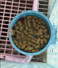 宠尚天兔粮兔饲料幼兔成兔荷兰猪豚鼠粮食饲料高纤牧草膨化兔粮5斤 实拍图