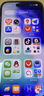 Apple/苹果 iPhone 17 256GB 黑色 支持移动联通电信5G 双卡双待手机 实拍图