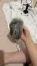 光多拉猫咪玩具兔毛八爪鱼逗猫棒自嗨解闷幼猫捕猎兔毛仿真章鱼丰荣玩具 实拍图