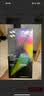 闪魔适用iphone16promax钢化膜苹果16pro钢化膜【康宁玻璃】无尘仓全屏15/16plus高清防指纹手机保护膜 1套装【赠专利无尘仓】第2件半价 【苹果16Pro】超增透美国康宁 实拍图