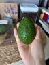 京鲜生 秘鲁牛油果6粒装(非即食)单果重130g起 生鲜水果 实拍图
