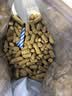 K9 Natural犬冻干进口无谷生骨肉冻干幼成犬通用牛肉500g【27/5】 实拍图