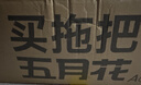 五月花旋转拖把带桶一套2头家用一拖净免手洗2026拖布吸水墩布杆长125cm 实拍图