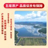 十月稻田 长粒香大米 10斤（东北大米 香米 5kg/公斤） 实拍图