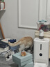 佳乐滋银勺宠物猫粮英短美短布偶天然全价通用成猫粮1.4kg 实拍图