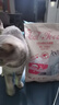 奥丁（ODIN）猫粮 鲜肉美毛 幼猫成猫美短英短蓝猫暹罗猫 鱼肉味天然猫粮2kg 实拍图