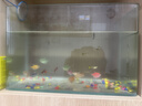 海龟爸爸青少年护肤品男女孩青春期洗面奶祛痘控油护肤套装 礼盒装 实拍图