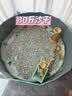 活石（LIVING STONES）儿童沙池玩具套装家庭游乐场沙子在家玩围栏套装仿陶瓷沙生日礼物 实拍图