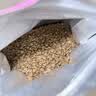 伯纳天纯猫粮经典成猫猫粮 12月龄以上经典系列1.5kg/3斤 实拍图