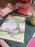 红豆A类纯棉枕套一对装全棉色织枕头套枕芯套加厚内胆套48x74cm墨绿 实拍图