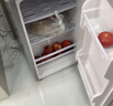 志高（CHIGO）小冰箱迷你小型家用冷藏冷冻两用宿舍出租房用双门办公室电冰箱节能省电 【一级能效】82L银色【全国联保丨节能省电】 实拍图