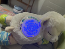 伟易达（Vtech）婴儿玩具声光安抚小绵羊毛绒玩偶新生儿礼盒生日礼物 实拍图