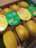 佳沛（zespri）新西兰 金果12粒特大果单果124-146g 端午节礼物水果礼盒 猕猴桃 实拍图
