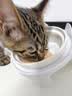 licheers猫碗陶瓷猫粮双碗斜口不黑下巴宠物幼猫咪吃饭食盆喝水喂食一体 实拍图