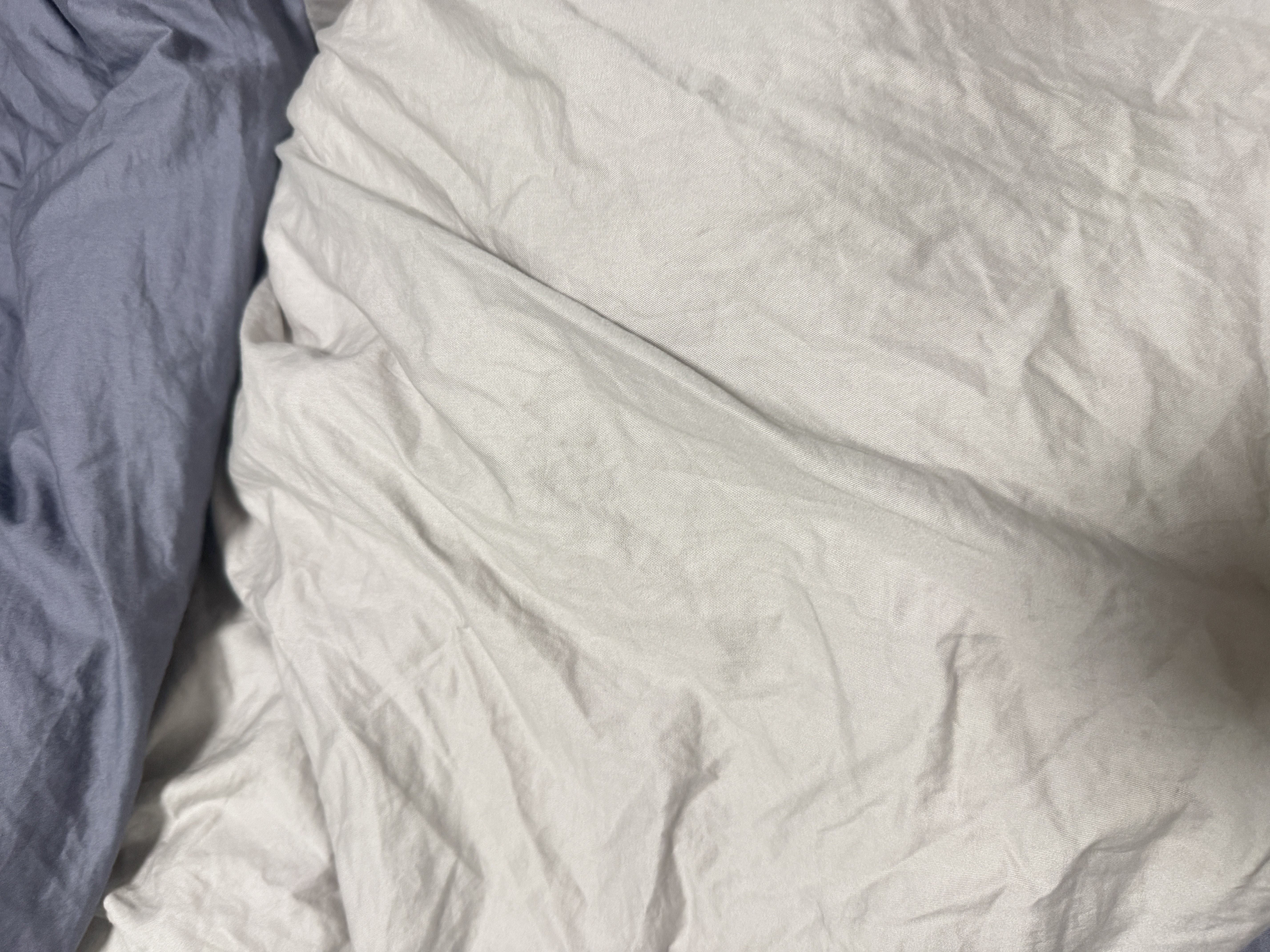 水星家纺四件套床上纯棉100%a类全棉床笠被套双人加大套件1.8米×2米床蓝 实拍图