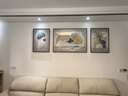 诗六艺家饰客厅装饰画北欧现代简约沙发背景墙挂画三联画大气轻奢壁画晶瓷画 吉祥如意（铝合金外框） 晶瓷画左右50*70+中间100*70亮面 实拍图