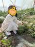 巴拉巴拉儿童稳步鞋男童女童凉鞋2026夏撞色风机能鞋童鞋儿童鞋网孔运动鞋 实拍图