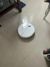 石头（roborock）【保价618】扫地机器人扫拖一体 P20 Max扫拖洗烘一体机 自动集尘热水洗拖布擦地拖地 A2950RR 实拍图