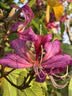 素养生活有机白花生1.5斤 生花生米 白皮花生 花生豆 水煮 凉拌粗粮 实拍图