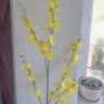 爱已装糖仿真花绿植假花花瓶插花diy花束塑料花客厅摆件装饰花跳舞兰1束 实拍图