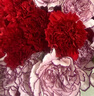 维达（Vinda）有芯卷纸 蓝色经典4层200克*27卷 高克重卫生纸 厕纸纸巾整箱 实拍图