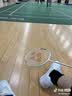 川崎缤果羽毛球鞋男女款专业运动鞋透气减震耐磨初学入门专业训练鞋 缤果-小白鞋-升级碳板 脚宽建议拍大一码 42 (260mm) 实拍图