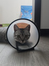 红狗 营养膏10g 宠物狗狗猫咪幼犬营养膏微量元素维生素 实拍图