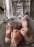 元牧希厚切羔羊肉卷净重1斤 火锅食材切肥牛羊卷涮锅羊肉片烧烤国产生鲜 实拍图