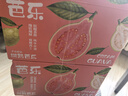 京鲜生 红心芭乐 净重3斤 单果150g+ 生鲜端午水果礼盒 实拍图