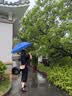 歌莉娅女装套装春季高级感一整套穿搭巨好看通勤两件套1C3JAA570 00B黑色 M 实拍图
